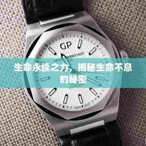 生命永续之力，揭秘生命不息的秘密