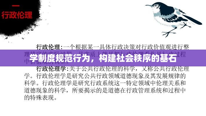 学制度规范行为，构建社会秩序的基石