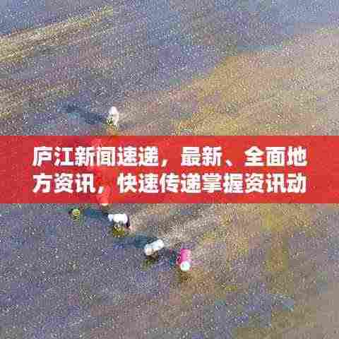 庐江新闻速递，最新、全面地方资讯，快速传递掌握资讯动态