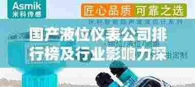 国产液位仪表公司排行榜及行业影响力深度解析