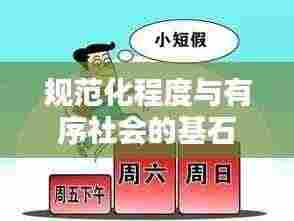 规范化程度与有序社会的基石，构建社会秩序的基石