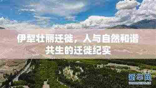 伊犁壮丽迁徙，人与自然和谐共生的迁徙纪实