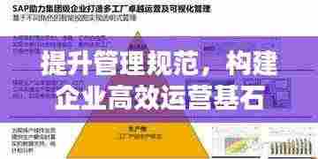 提升管理规范，构建企业高效运营基石
