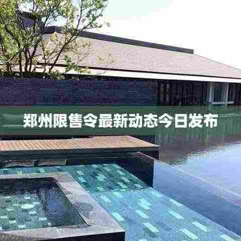 郑州限售令最新动态今日发布