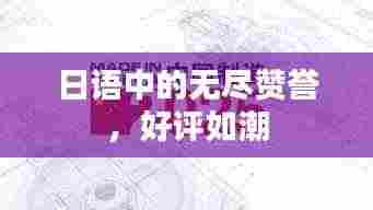 日语中的无尽赞誉，好评如潮