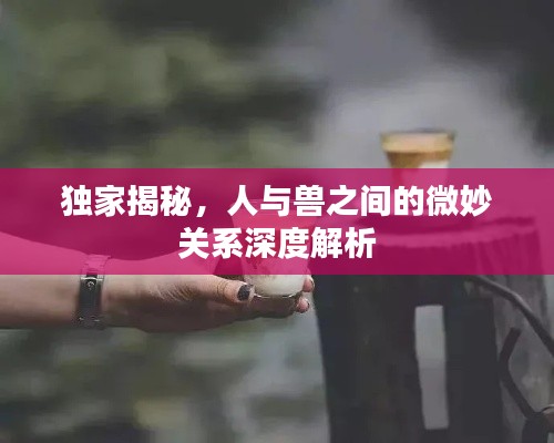 独家揭秘，人与兽之间的微妙关系深度解析