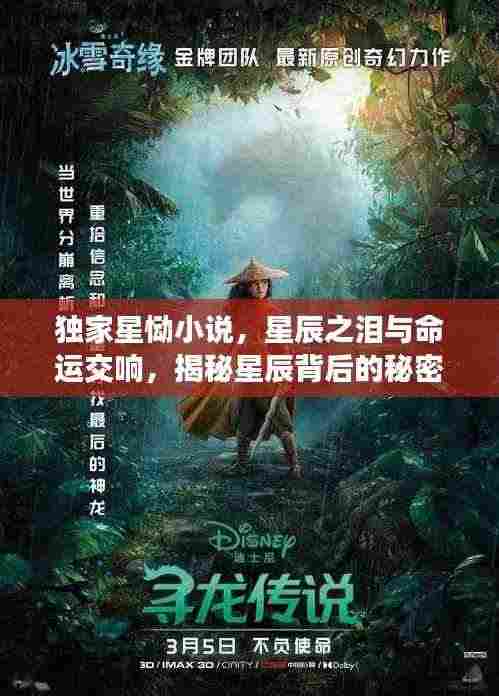 独家星恸小说，星辰之泪与命运交响，揭秘星辰背后的秘密！