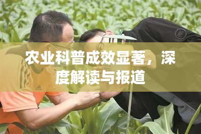 农业科普成效显著，深度解读与报道