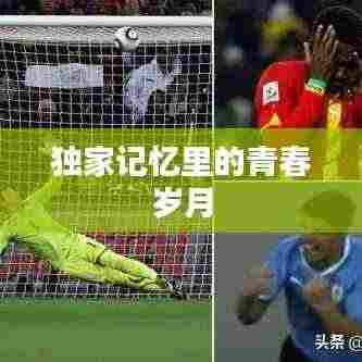 独家记忆里的青春岁月