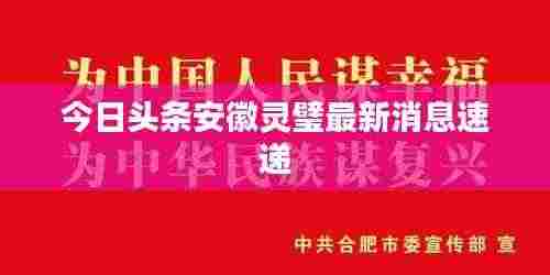 今日头条安徽灵璧最新消息速递