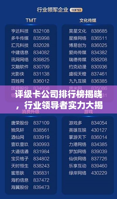 评级卡公司排行榜揭晓，行业领导者实力大揭秘！