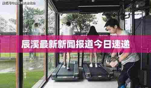 辰溪最新新闻报道今日速递