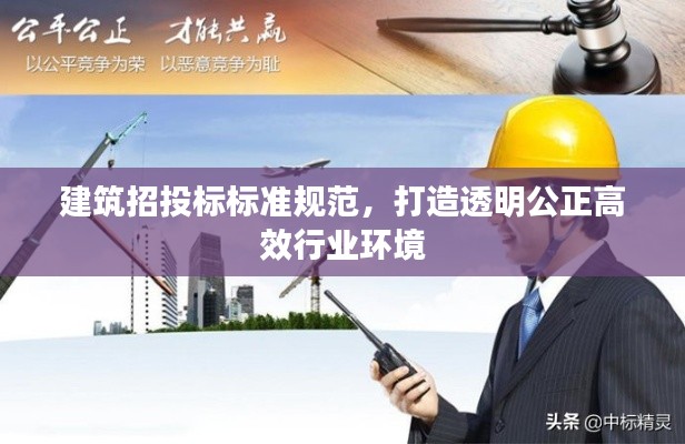 建筑招投标标准规范，打造透明公正高效行业环境