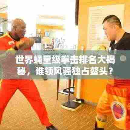 世界蝇量级拳击排名大揭秘，谁领风骚独占鳌头？