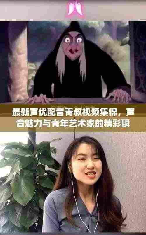 最新声优配音青叔视频集锦，声音魅力与青年艺术家的精彩瞬间