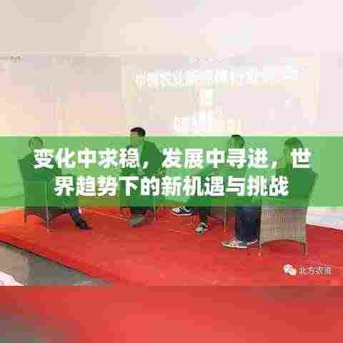 变化中求稳，发展中寻进，世界趋势下的新机遇与挑战