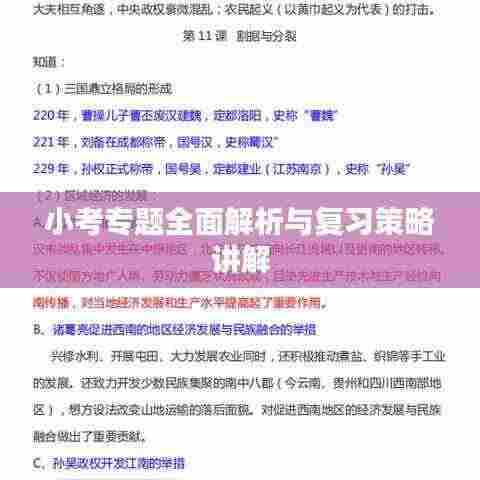 小考专题全面解析与复习策略讲解