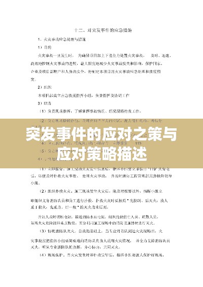 突发事件的应对之策与应对策略描述