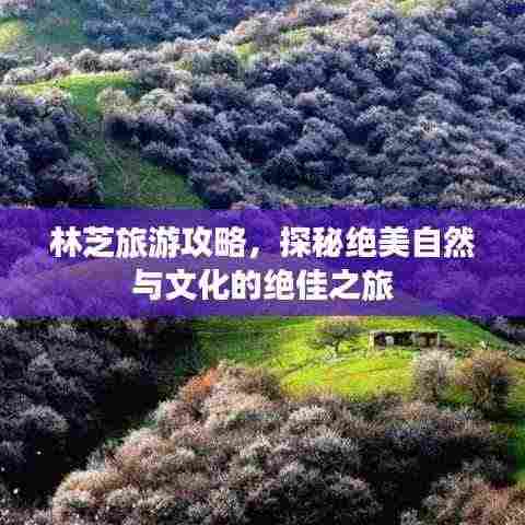 林芝旅游攻略，探秘绝美自然与文化的绝佳之旅