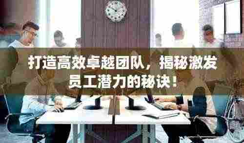 打造高效卓越团队，揭秘激发员工潜力的秘诀！