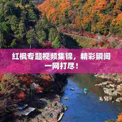 红枫专题视频集锦，精彩瞬间一网打尽！