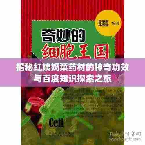 澹泊明志 第3页