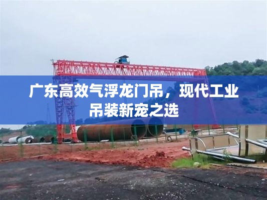 广东高效气浮龙门吊，现代工业吊装新宠之选