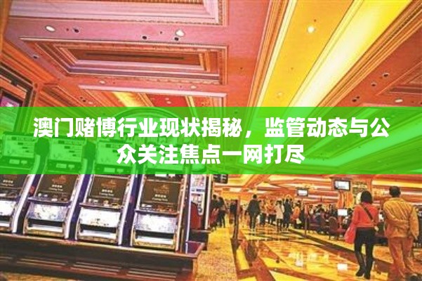 澳门赌博行业现状揭秘，监管动态与公众关注焦点一网打尽
