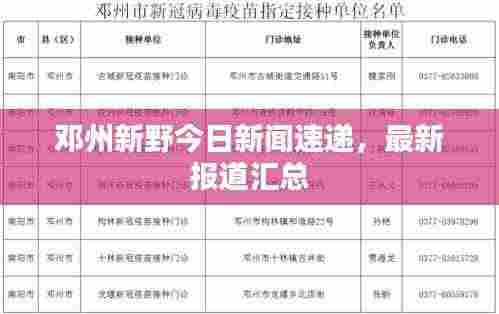 邓州新野今日新闻速递，最新报道汇总