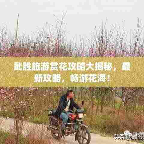 武胜旅游赏花攻略大揭秘，最新攻略，畅游花海！