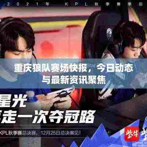重庆狼队赛场快报,今日动态与最新资讯聚焦