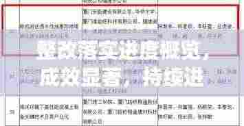 整改落实进度概览，成效显著，持续进步报告