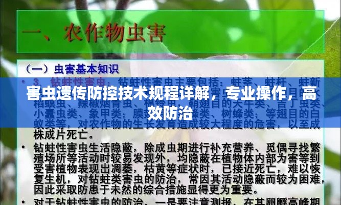 害虫遗传防控技术规程详解，专业操作，高效防治