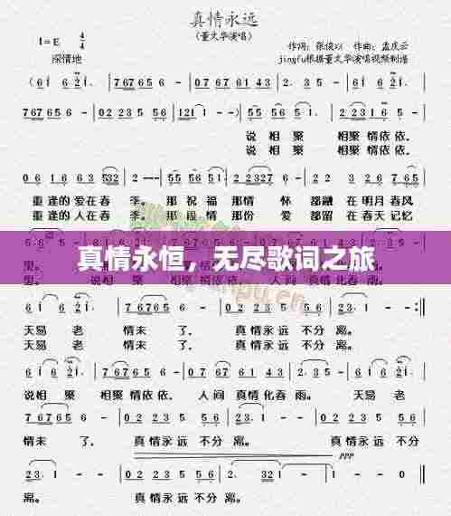 真情永恒，无尽歌词之旅
