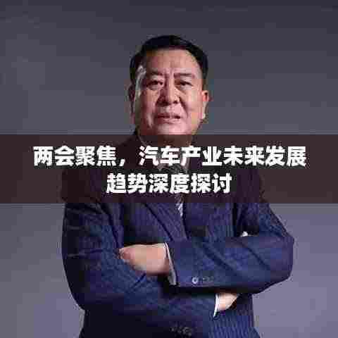 两会聚焦，汽车产业未来发展趋势深度探讨