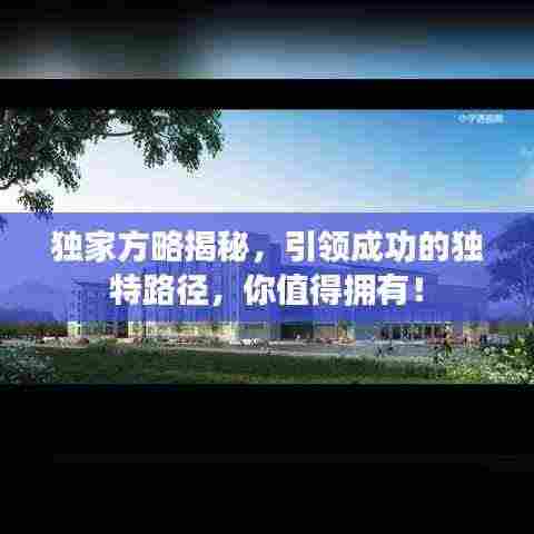 独家方略揭秘，引领成功的独特路径，你值得拥有！