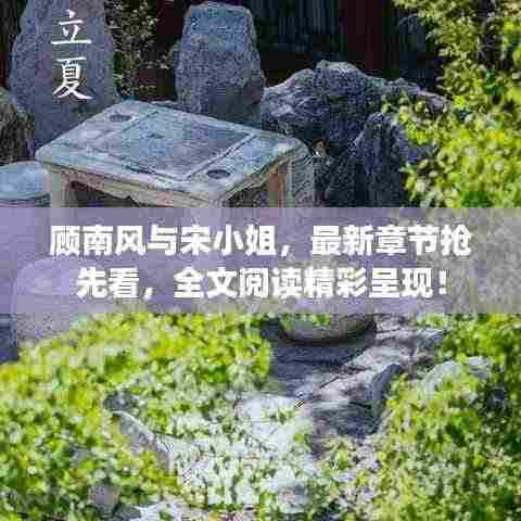 顾南风与宋小姐，最新章节抢先看，全文阅读精彩呈现！