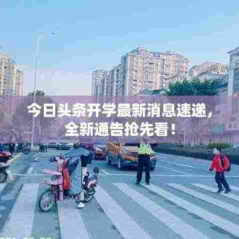 今日头条开学最新消息速递，全新通告抢先看！