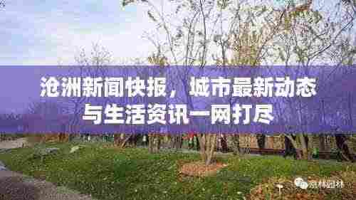 沧洲新闻快报，城市最新动态与生活资讯一网打尽