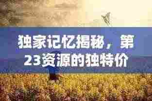 独家记忆揭秘，第23资源的独特价值探索