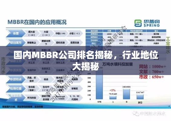 国内MBBR公司排名揭秘，行业地位大揭秘