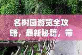 名树园游览全攻略，最新秘籍，带你领略自然之美！