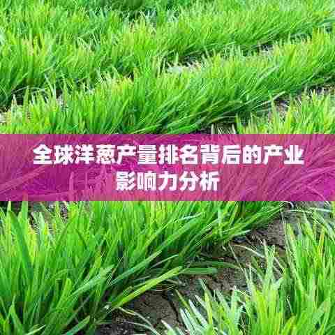 全球洋葱产量排名背后的产业影响力分析