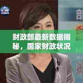 财政部最新数据揭秘，国家财政状况新动向速览