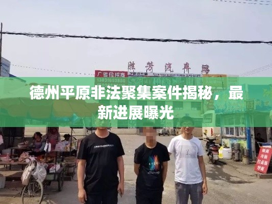 德州平原非法聚集案件揭秘，最新进展曝光
