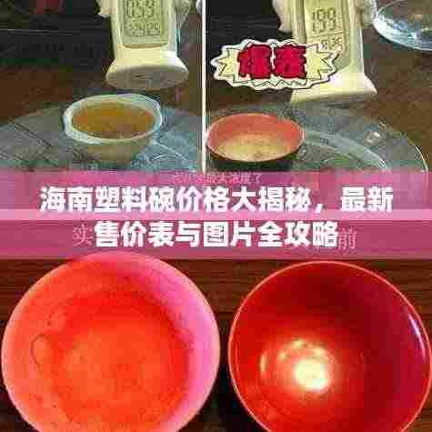 海南塑料碗价格大揭秘，最新售价表与图片全攻略