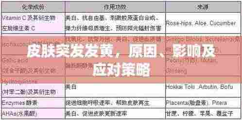 食淡衣粗 第3页