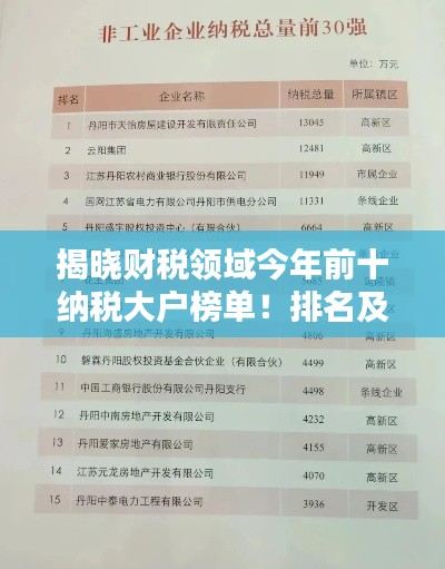 揭晓财税领域今年前十纳税大户榜单！排名及实力一网打尽