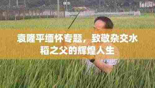 袁隆平缅怀专题，致敬杂交水稻之父的辉煌人生