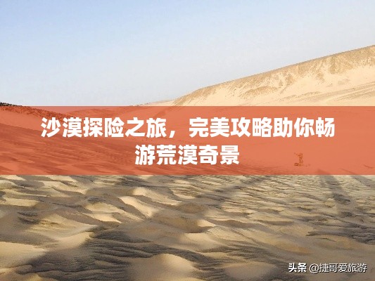 沙漠探险之旅，完美攻略助你畅游荒漠奇景
